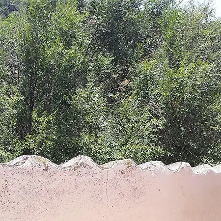 Ξενοδοχείο Eco 2*