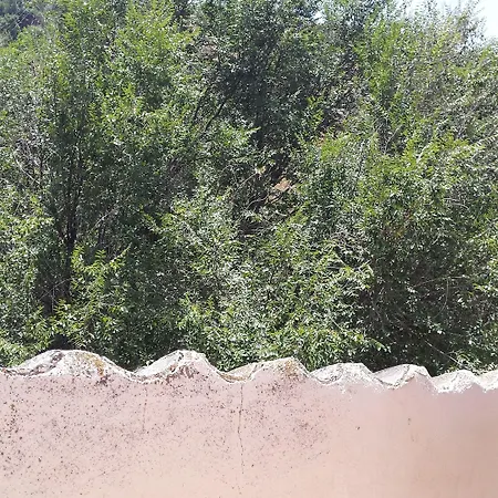 Eco 2* Toledo